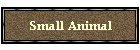 Small Animal