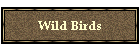 Wild Birds